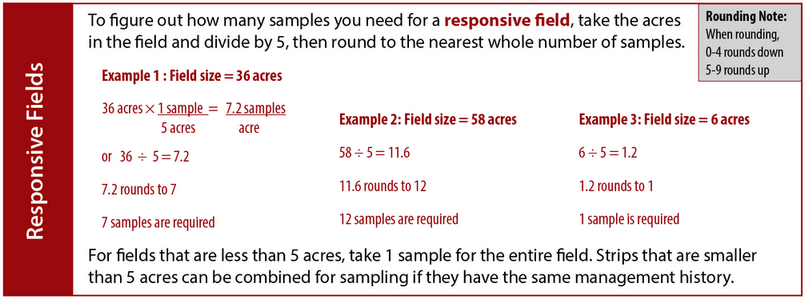 ST_ResponsiveFields